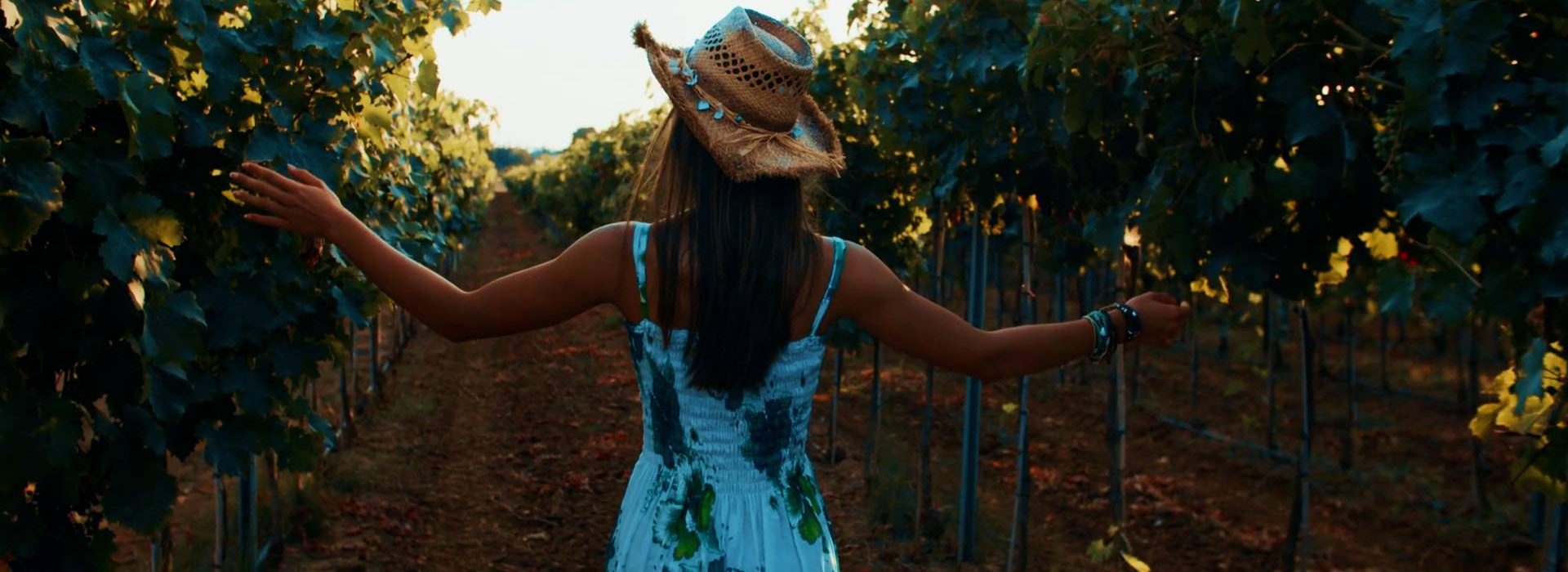 3. Heli Wine Experience (1)