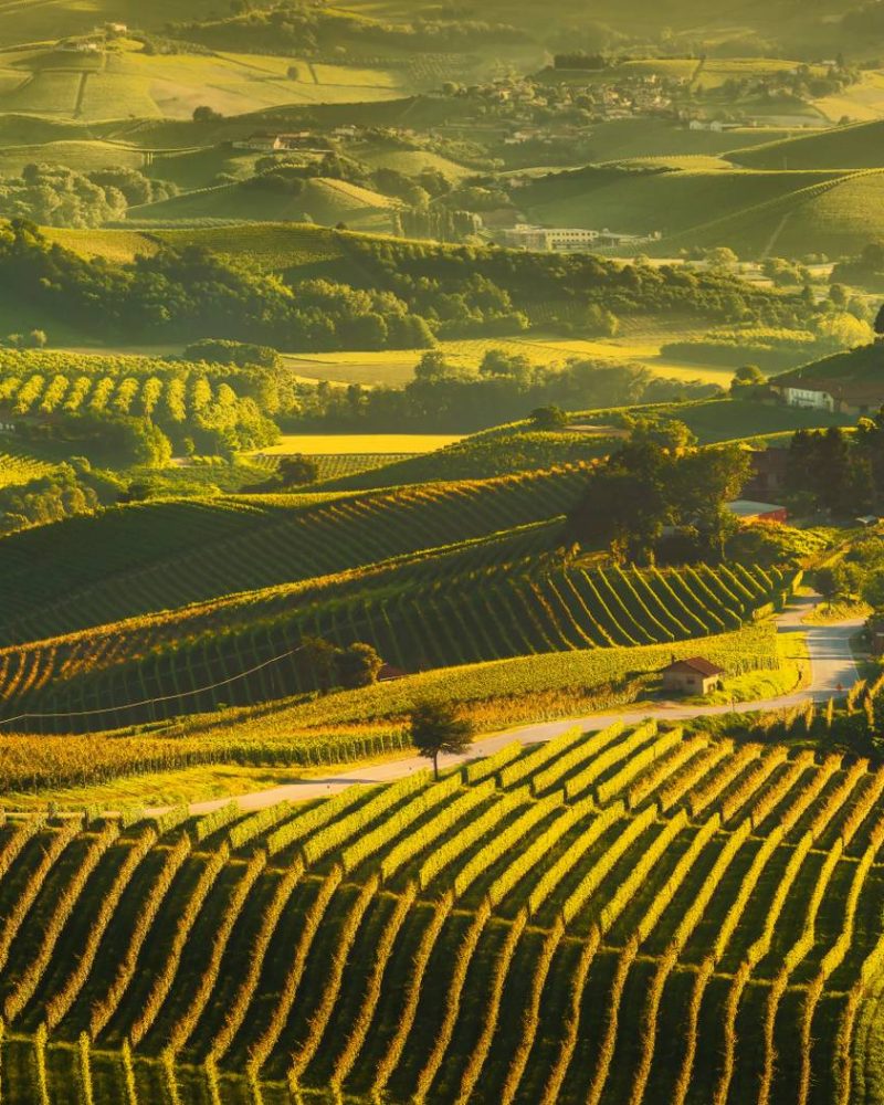 3. Heli Wine Experience (2)