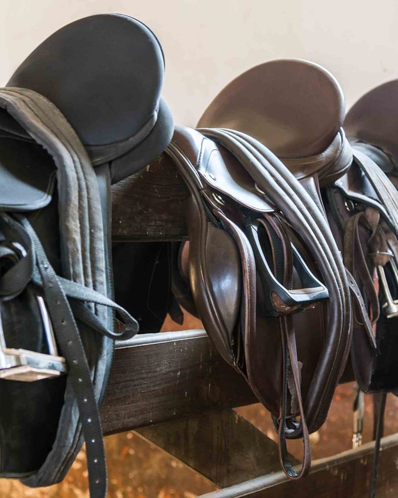 Rider Leather Saddles on fence