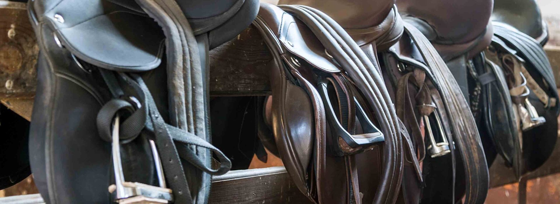 Rider Leather Saddles on fence