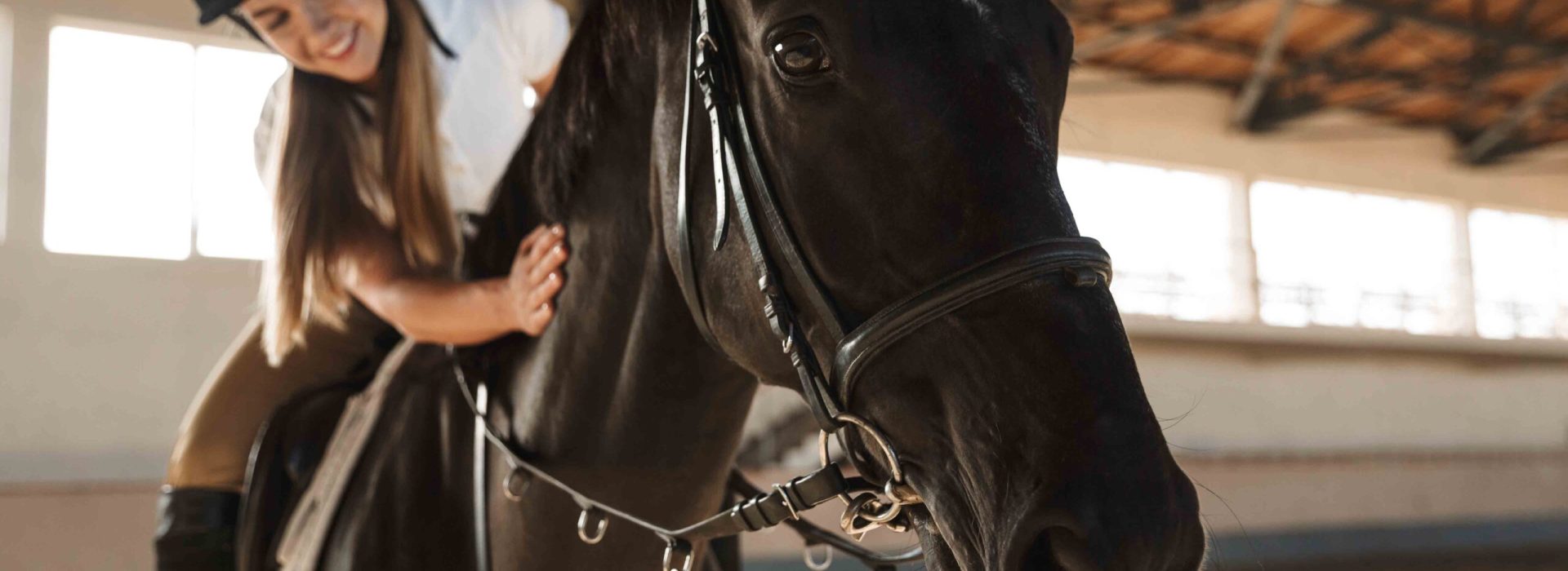 Picture of concentrate positive young blonde beautiful woman wearing hat with horse in countryside in corral on training area.
