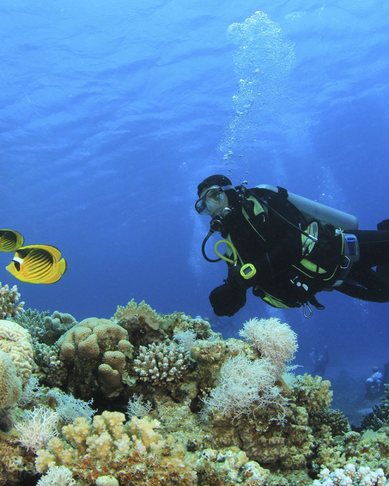 Heli-Snorkeling-&-Diving-Experience-1