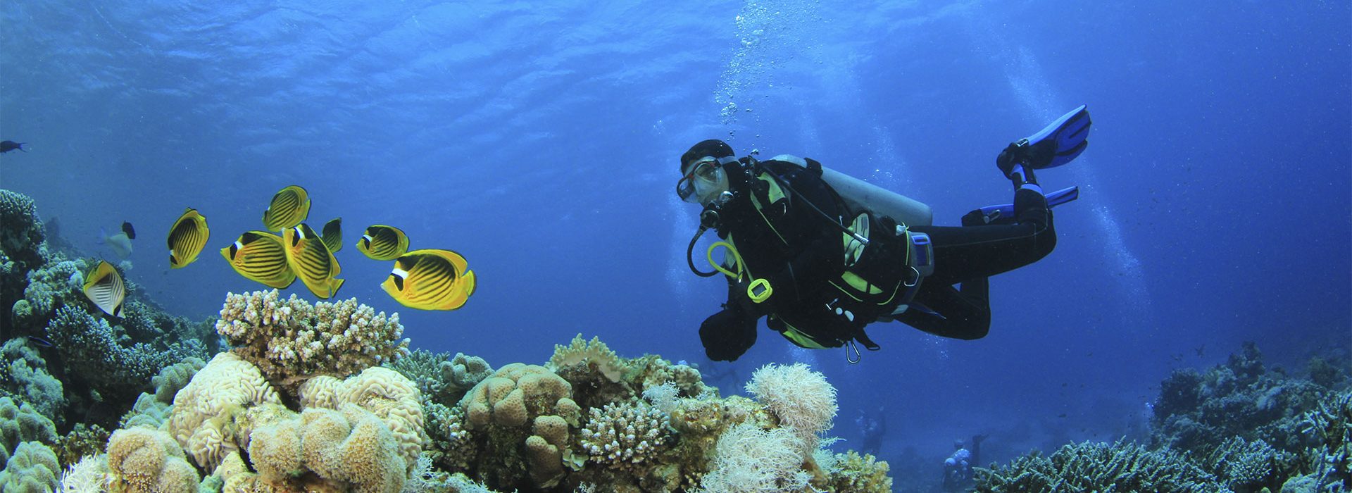 Heli-Snorkeling-&-Diving-Experience-1