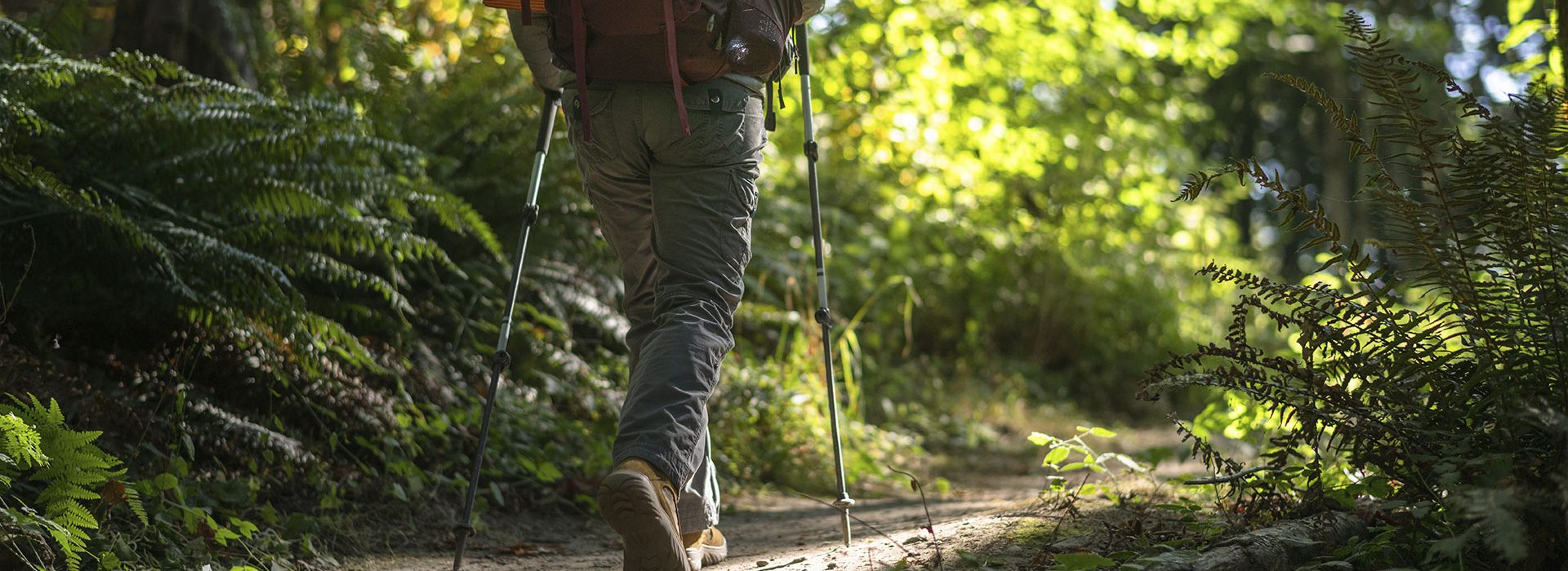 Heli-Trekking-&-Trail-running-Experience-3