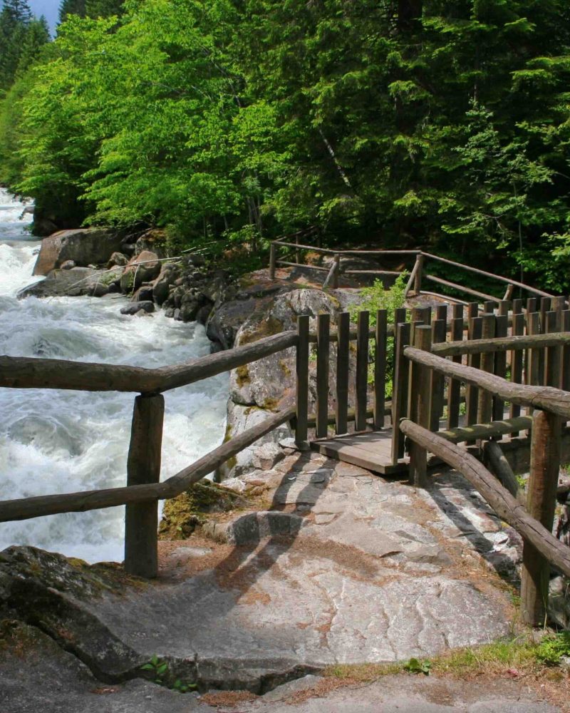 Ponte di legno nel Parco Naturale Adamello Brenta_AdobeStock_214083894
