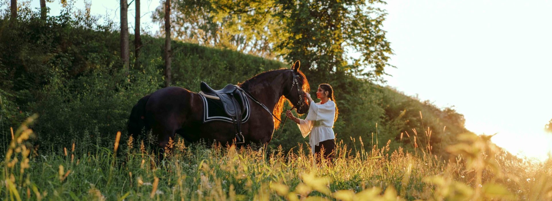 horse
